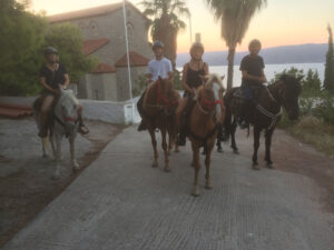 hydra horses, horse riding Greece , horse riding hydra