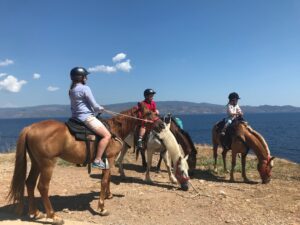 hydra horses, horse riding Greece , horse riding hydra