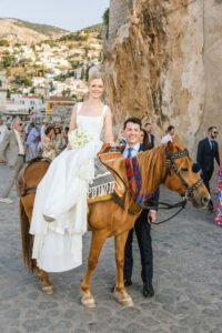 wedding horse, bridal horse, wedding hydra